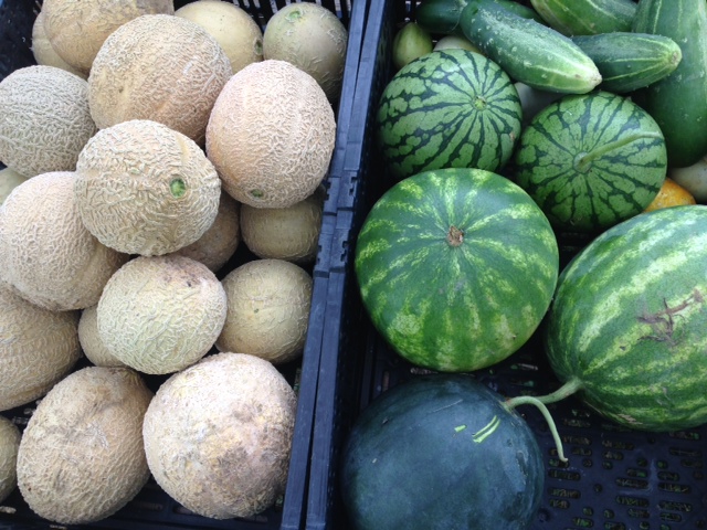 black people funny watermelon